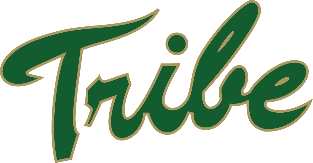 William and Mary Tribe 2009-Pres Primary Logo iron on transfers for clothing